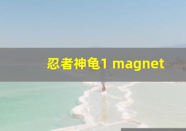 忍者神龟1 magnet